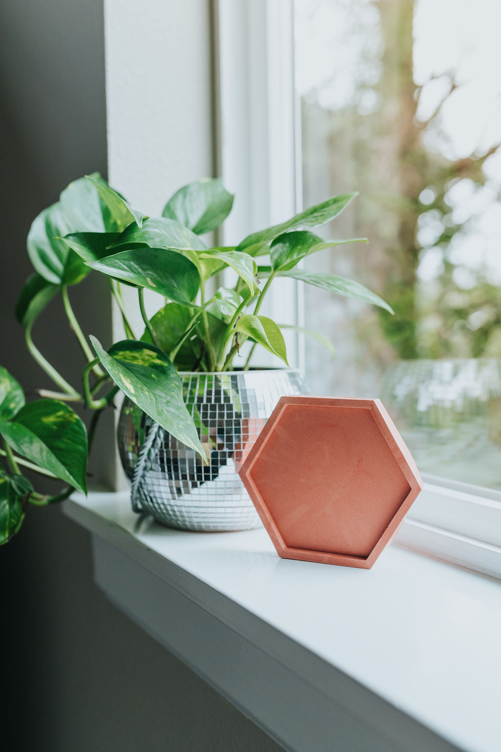 Mold - 4-Pack Hexagon Coasters