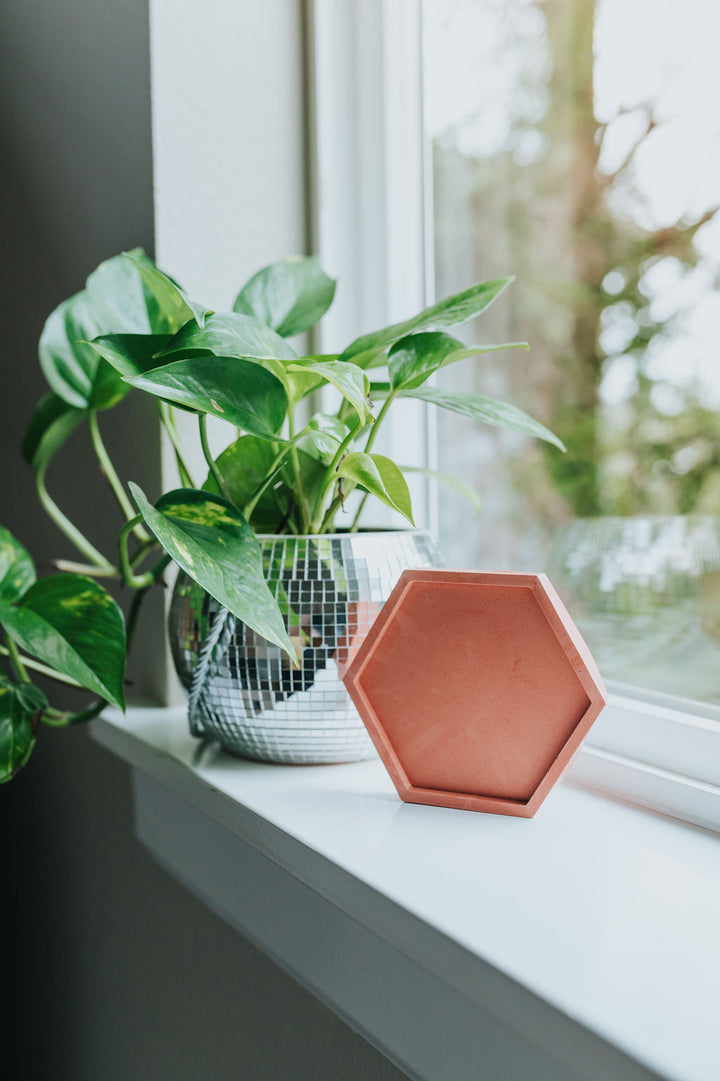 Mold - 4-Pack Hexagon Coasters