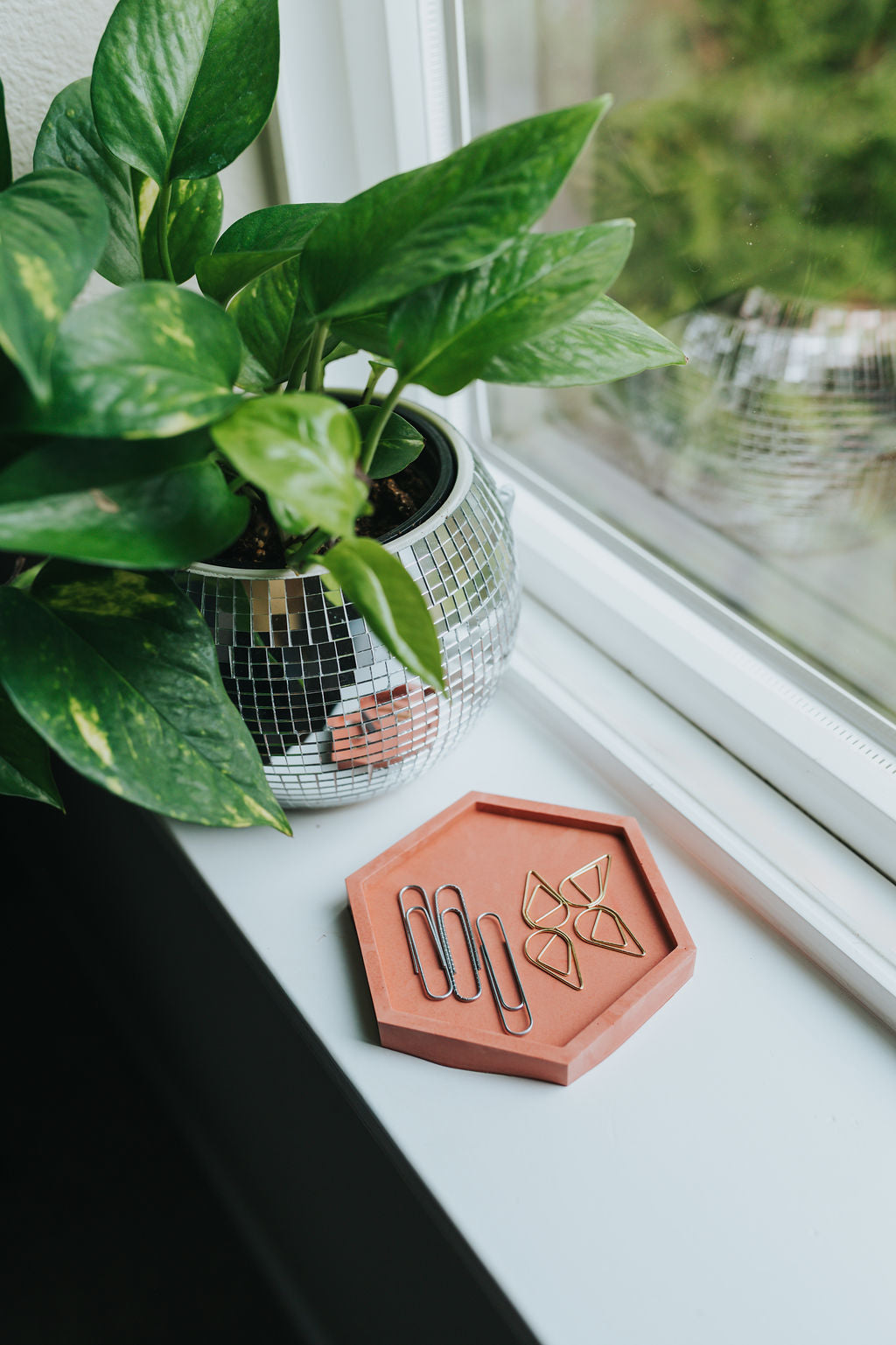 Mold - 4-Pack Hexagon Coasters