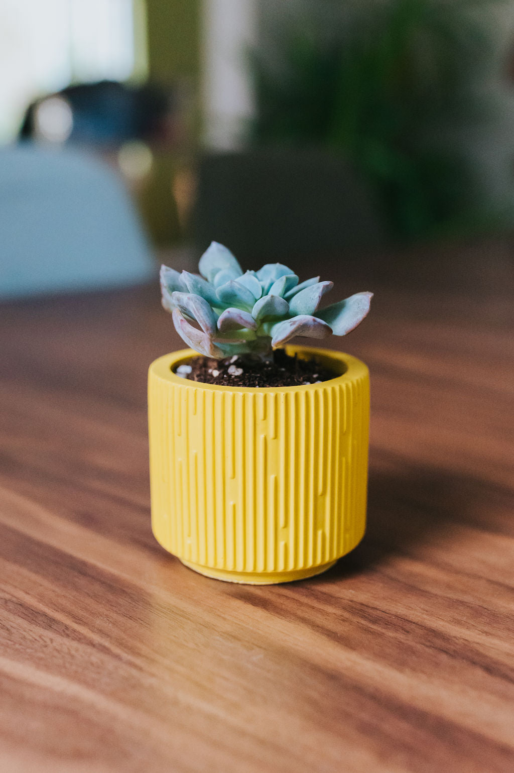 Mold - Fluted Pot